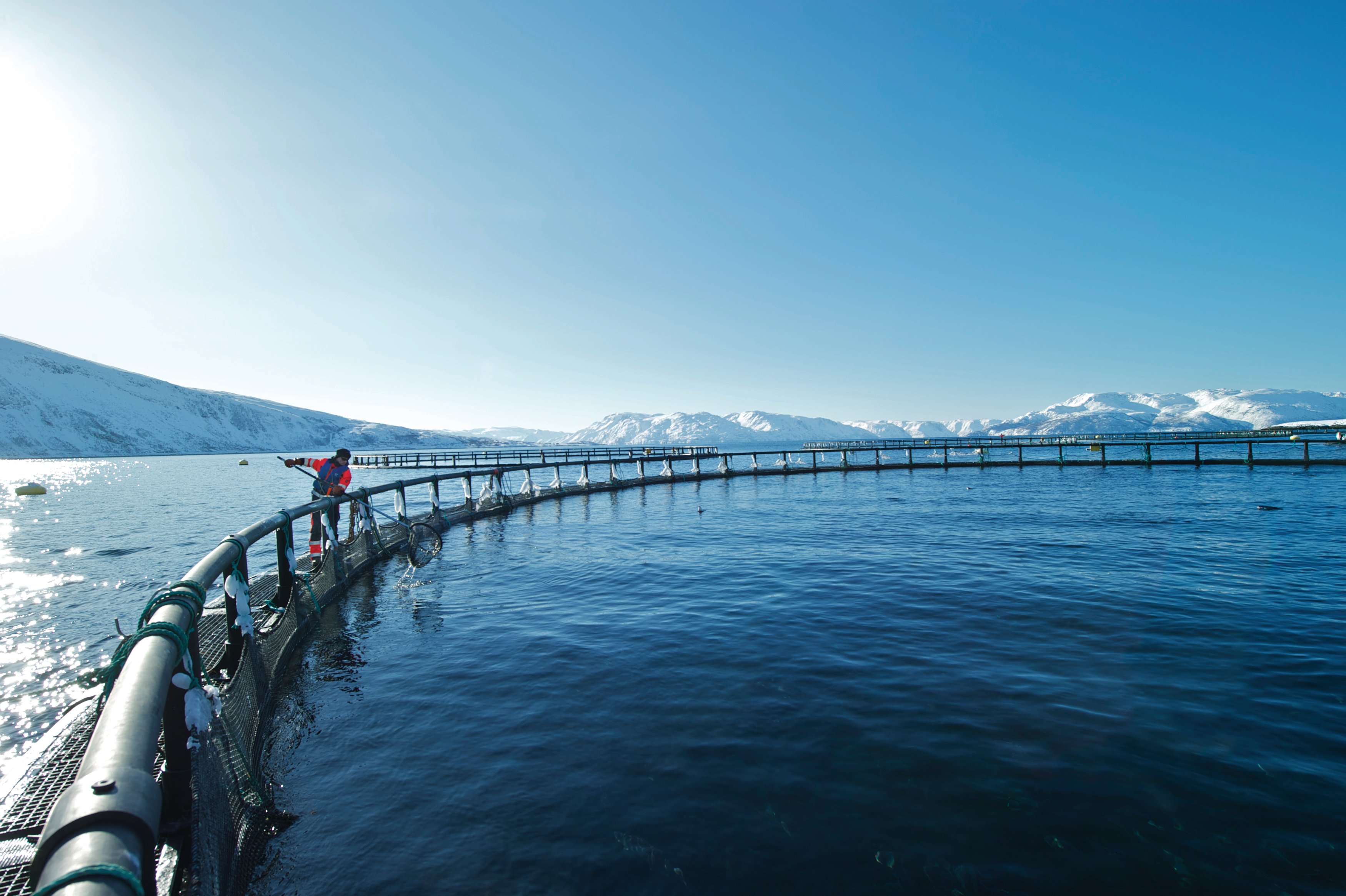 Økt produksjon fiskeoppdrett med redusert miljøpåvirkning